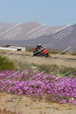 media/Feb-04-2023-SoCal Trackdays (Sat) [[8a776bf2c3]]/Turn 15 Inside Blooming (1050am)/